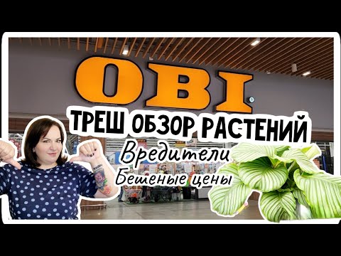 Видео: Кто только здесь покупает? Обзор растений в ОБИ 26.08.23 Москва Белая Дача