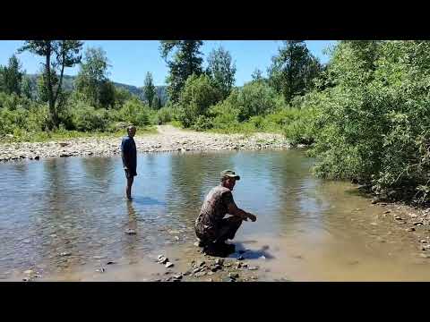 Видео: 15 марта 2024 г.