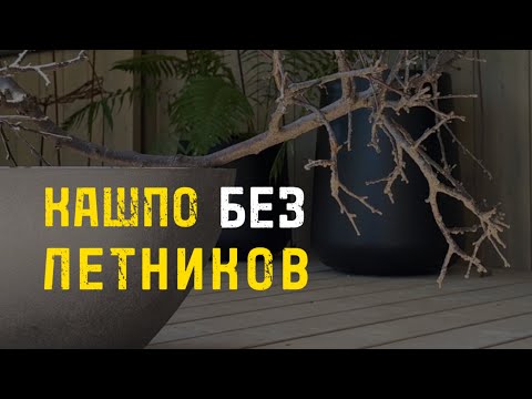 Видео: Контейнерное озеленение. Необычные приемы оформления кашпо #кашподляцветов #садоваяскульптура #сад