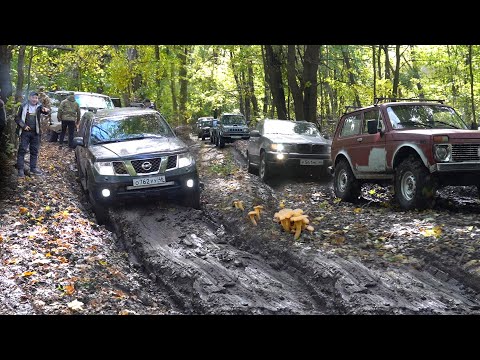 Видео: В ЛЕС НА ВНЕДОРОЖНИКАХ ЗА ГРИБАМИ! BMW X5, NISSAN, TOYOTA, SUZUKI, HAVAL, УАЗ, НИВА!