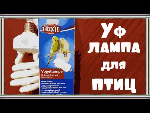 Видео: Наша новая уф-лампа для птиц Trixie.  Как не купить бракованную лампу.