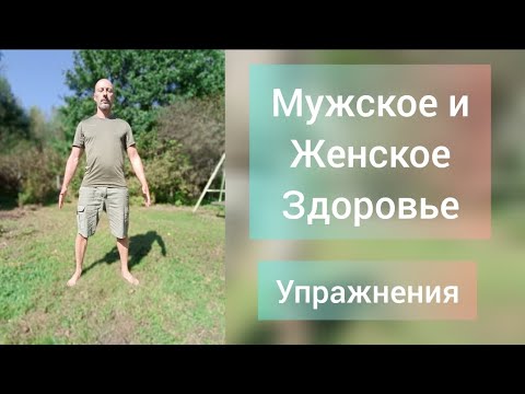 Видео: Здоровье органов малого таза, потенция, Упражнения Кегеля. Приседания для здоровья.