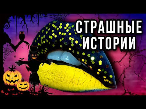 Видео: Истории + макияж | СБОРНИК | Даша Рокс