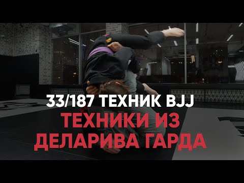 Видео: Техники из деларива гарда, БЖЖ
