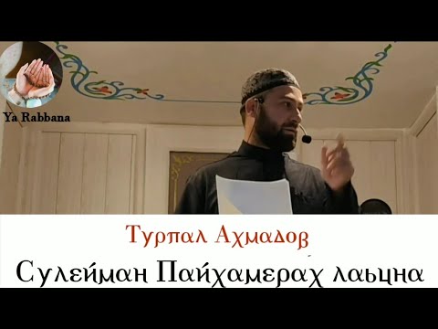 Видео: Турпал Ахмадов - Сулиман Пайхамарах Лаьцна Хаза Хьехам 🔥