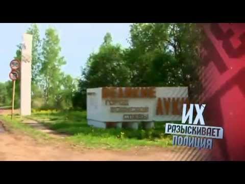 Видео: Их разыскивает полиция  Чемпионы