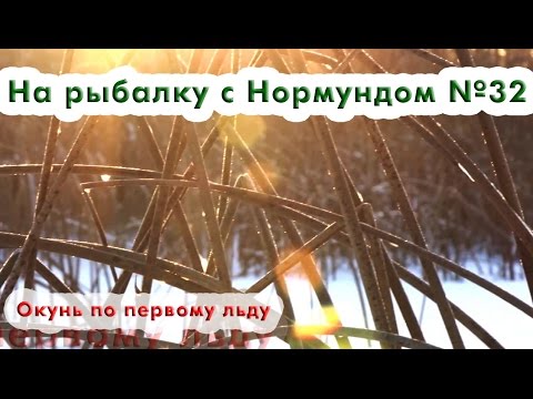 Видео: Окунь по первому льду : На рыбалку с Нормундом #32