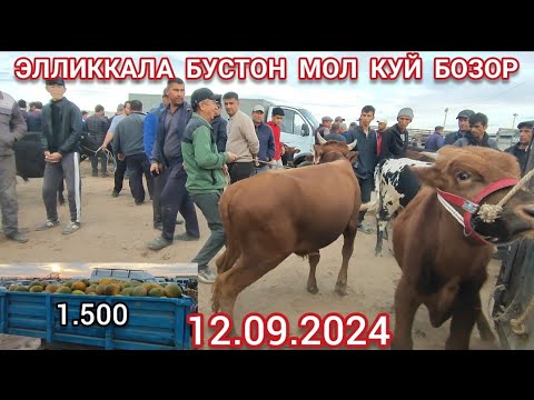 Видео: 12 сентября 2024 ЭЛЛИККАЛА БУСТОН МОЛ КУЙ БОЗОР НАРХИ