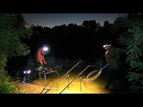 Видео: Аяяя...Шо твориться на Дніпрі, коли Ніхто не баче !!! Рибалка на Здоровених риб !!!