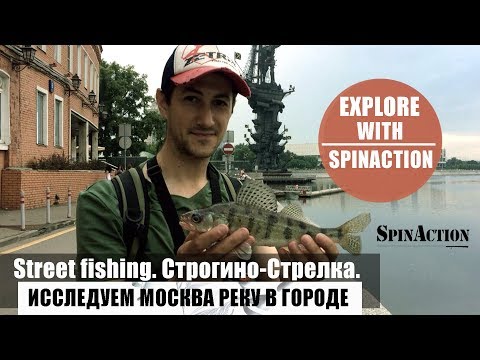 Видео: Street fishing. Строгино - Стрелка. Исследуем Москва реку в городе.