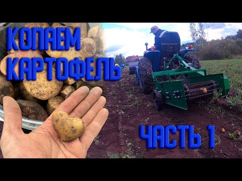 Видео: Однорядная транспортёрная картофелекопалка в деле. Часть 1.