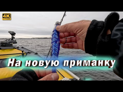 Видео: Поймал всю рыбу на НОВУЮ ПРИМАНКУ