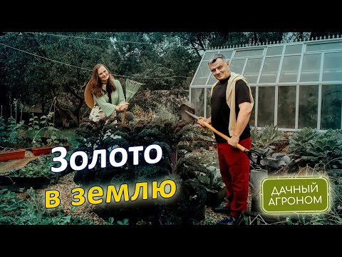 Видео: Дача НЕ РАДУЕТ? Вот что надо делать!