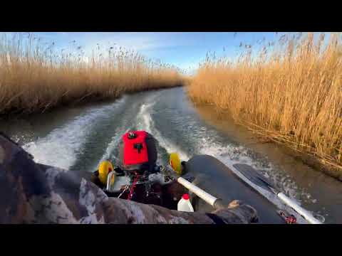 Видео: Yamaha 5 hp 4 stroke with 12ft inflatable boat cruising on district/ Ямаха 5 Yamaha 5 Хантер 365 лка