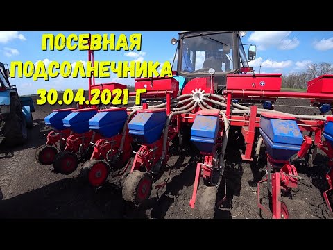 Видео: Посевная Подсолнечника 2021 в самом Разгаре/Трактор МТЗ 1025 сеялка ТСМ 4150 а.