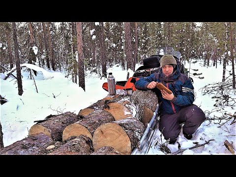 Видео: -30 | Трое живы! Четвёртый ТОЖЕ! | Пурга одна | В Тайге в палатке! Спасение Пурги и Щенков в тайге!