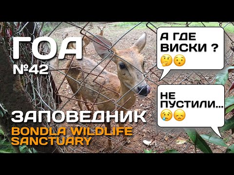 Видео: 42. ГОА. Заповедник Бандла🐵🐮🐻🐊🐍Bondla Wildlife Sanctuary