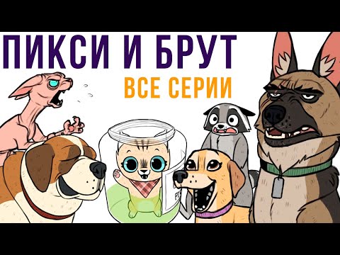 Видео: ПИКСИ И БРУТ. ВСЕ КОМИКСЫ 2020 | Мемозг #482