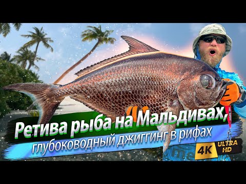 Видео: 🇲🇻 Рыболовный рай на Мальдивах. Порыбачил везде!