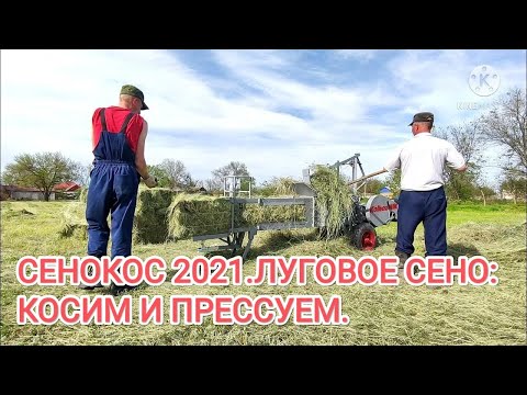 Видео: 🤠Уборка лугового сена. Косим и пресуем.🤠