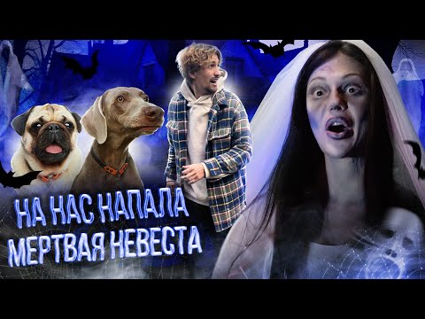 Видео: НА НАС НАПАЛА МЕРТВАЯ НЕВЕСТА 👻