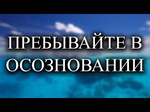 Видео: Как действовать в этом мире?