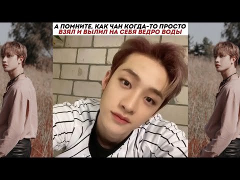 Видео: Смешные и милые моменты с Stray Kids | #4