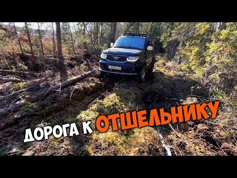 Видео: Дорога к отшельнику. 21 км по тайге сквозь завалы от пожаров