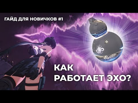 Видео: Полное руководство для новичков. Как работает Эхо? Гайд Wuthering Waves