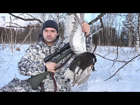Видео: ОХОТА НА ТЕТЕРЕВА С МЕЛКАШКОЙ В ЛОСИНОЙ РОЩЕ. В СУГРОБАХ ПО КОЛЕНО, НО Я ЕГО ДОБЫЛ.
