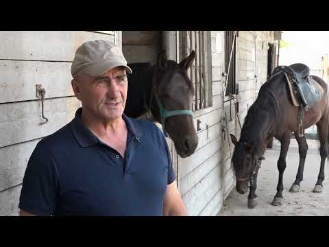 Видео: ШЫУ ГЪОГУ ПСЕЙТУК