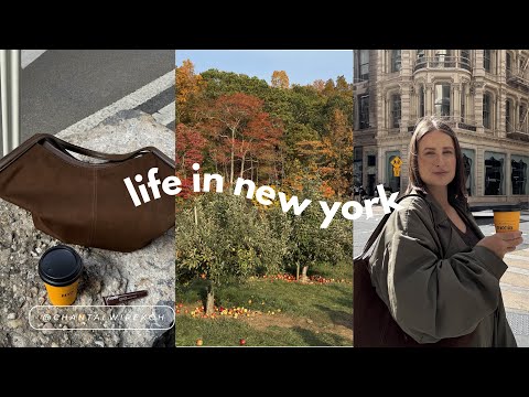Видео: Осень в Нью-Йорке | Фермерский рынок, уютные утра и сбор яблок в Коннектикуте