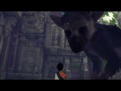 Видео: The Last Guardian полное прохождение #2