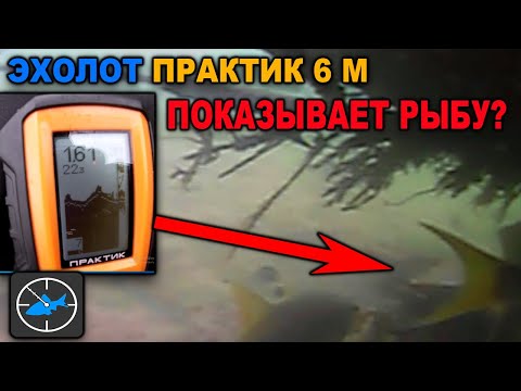 Видео: Эхолот ПРАКТИК 6М. ПОИСК рыбы с лодки в режиме "Fish ID"