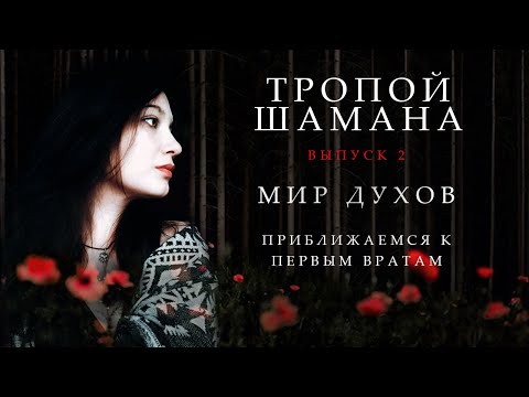 Видео: Шаманизм  #2. Тропой  Шамана. Мир Духов. Род. Приближаемся к Первым Вратам