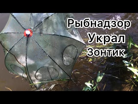 Видео: ПЕРВЫЙ РАЗ РЫБАЧУ ЗОНТИКОМ!!!