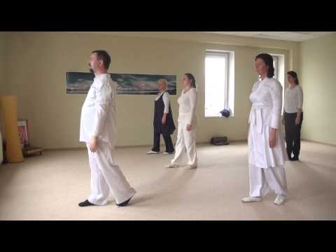 Видео: ДВИЖЕНИЯ ГУРДЖИЕВА,Александр Бельцер (Тушир)-23 марта2014. 00212.