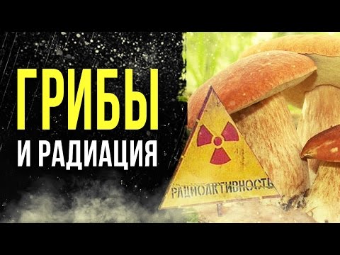 Видео: ☢ Радиоактивные грибы! [Олег Айзон]