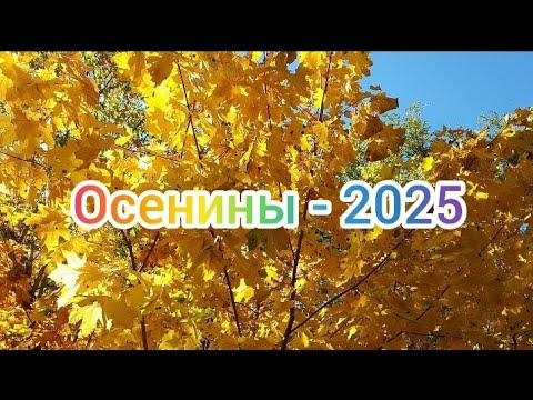 Видео: Осень - 25