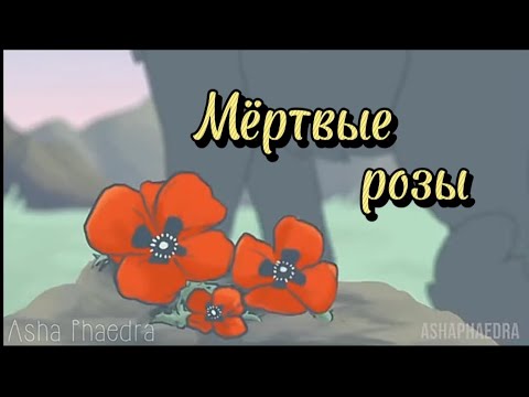 Видео: Ласточка и Грач(Грачик) | Коты-воители | Green Apelsin - Мёртвые розы