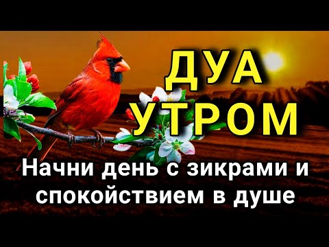 Видео: МОЩНОЕ УТРЕННЕЕ ДУА ДЛЯ ЗАЩИТЫ 🤲✨💯