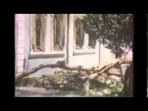 Видео: Солдаты ВВ МВД СССР