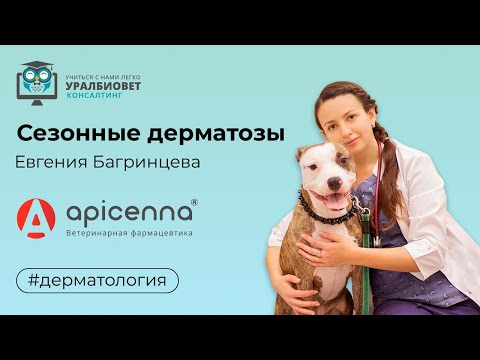 Видео: Сезонные дерматозы кошек и собак , лектор Евгения Багринцева
