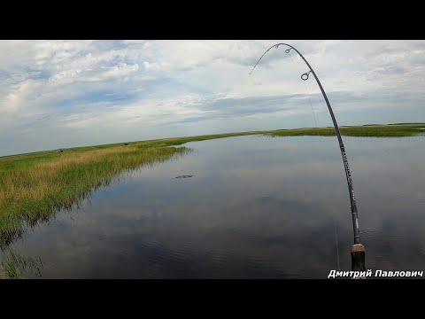 Видео: ЭТО ФИАСКО! СПИННИНГ РАЗЛЕТЕЛСЯ НА КУСКИ ОТ ЭТИХ РЫБИН! МОНСТРЫ -ЯЗИ НА КАЖДОМ ЗАБРОСЕ!Рыбалка 2021.