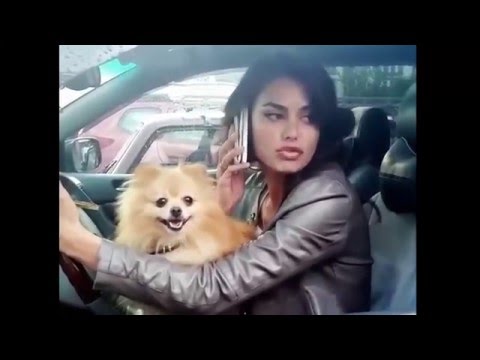 Видео: Осторожно Тупые дуры на дороге и за рулем