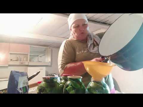 Видео: Заготавливаю тоннами огурцы на зиму/ Обогреватели WARMHOFF