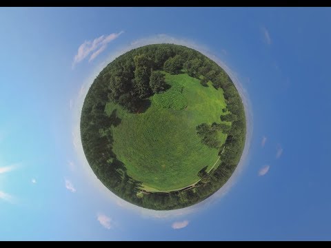 Видео: VR 360 | Лосиный остров в полёте