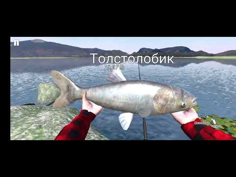 Видео: Игра рыбалка