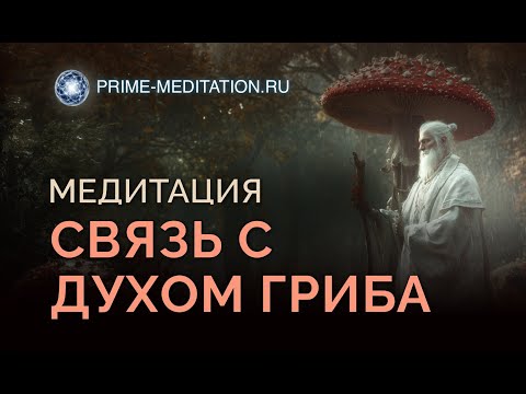 Видео: Магия грибов в медитации — почувствуй это!
