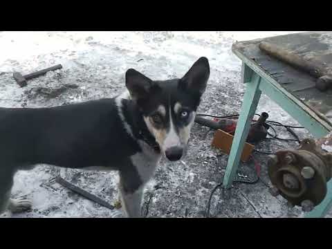 Видео: Переделка прицепа под рессоры от Москвича и УАЗа